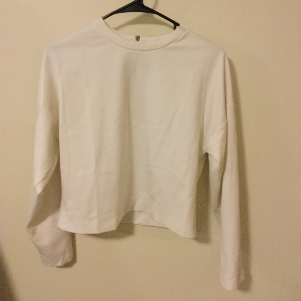 Mango Long Sleeve Crop Top